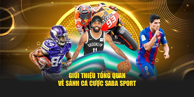 Giới thiệu tổng quan về sảnh cá cược Saba Sport