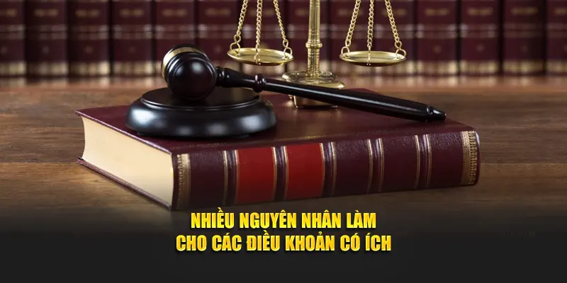 Nhiều nguyên nhân làm cho những điều khoản có ích
