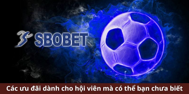 SBOBET 33Win có chính sách hoàn tiền hàng tuần