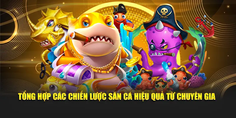 Tổng hợp các chiến lược săn cá hiệu quả từ chuyên gia